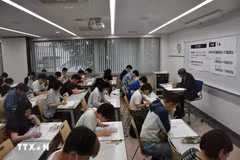 L'examen de maîtrise du vietnamien organisé au Japon a franchi une nouvelle étape cette année, avec un nombre record de candidats et l'introduction pour la première fois, du niveau le plus élevé, le niveau 1. Photo : VNA