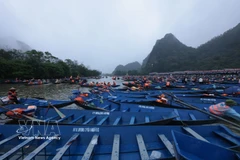 Des dizaines de milliers de bateaux transportent les touristes. Photo : VNA
