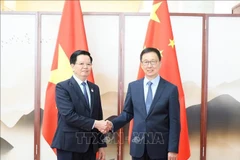 Le vice-Premier ministre vietnamien Mai Van Chinh (gauche) et Han Zheng, vice-président chinois. Photo: VNA