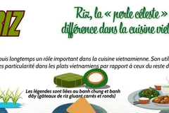 Riz, la « perle céleste » qui fait la différence dans la cuisine vietnamienne