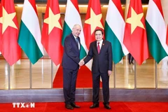 Dans l'après-midi du 28 mai 2025, à Hanoï, le président de l'Assemblée nationale du Vietnam, Tran Thanh Man (à droite) rencontre le président hongrois Sulyok Tamas en visite officielle au Vietnam. Photo : VNA