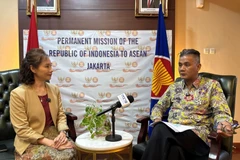 L'ambassadeur d'Indonésie auprès de l'ASEAN, Derry Aman. Photo: VNA