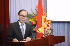 Lê Hoai Trung, membre du Bureau politique et ministre vietnamien des Affaires étrangères. Photo : baoquocte.vn