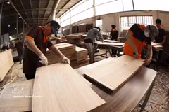 Production de panneaux MDF destinés à l'exportation vers les marchés américain, australien et thaïlandais à la société Hai Duong MDF Construction and Production Co., Ltd., située dans la province de Binh Duong. Photo: VNA