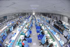 Ligne de production électronique de la société Suntech - Parc industriel de Thanh Vân. Photo: VNA