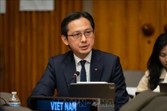 L'ambassadeur Do Hung Viet, chef de la Mission permanente du Vietnam auprès de l’ONU. Photo : VNA