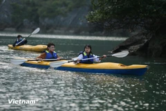 Des touristes pratiquent le kayak dans la baie d'Ha Long. Photo : Xuan Mai/Vietnam+