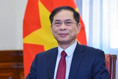 Le comité sera présidé par le vice-Premier ministre et ministre des Affaires étrangères, Bui Thanh Son. Photo : VGP