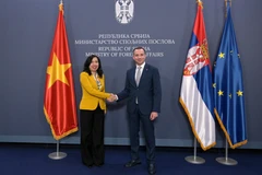 La vice-ministre vietnamienne des Affaires étrangères, Le Thi Thu Hang, et son homologue serbe, Damjan Jovic. Photo : ministère vietnamien des Affaires étrangères.
