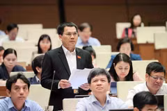 Les députés débattent de l'éducation préscolaire et des aides financières scolaires. Photo: VNA