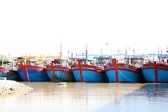 Ninh Binh compte actuellement 1.861 navires, dont 593 mesurant 15 mètres ou plus. Photo : VNA