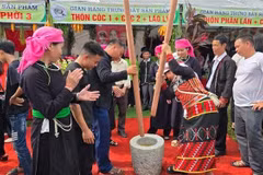 Lào Cai : ambiance festive lors de la Fête du côm 2025 à Hop Thanh