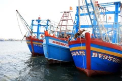 Des bateaux de pêche ancrés dans l'estuaire. Photo : VNA
