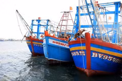 Des bateaux de pêche ancrés dans l'estuaire. Photo : VNA