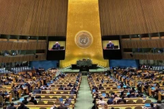 Panorama d'une session visant à adopter la résolution de l'Assemblée générale des Nations Unies. Photo: VNA