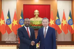 Le secrétaire général du Parti communiste du Vietnam (PCV), To Lam (à droite), et le président du Parti de la Prospérité et Premier ministre éthiopien, Abiy Ahmed Ali (15 avril 2025). Photo : VNA