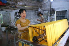 Préserver et développer la marque du village de sériciculture de Cô Chât, à Ninh Binh