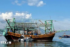 Les gardes-frontières de la ville de Dà Nang vérifient les documents de départ des bateaux de pêche. Photo: VNA