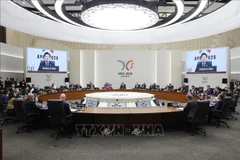 Le président Luong Cuong participe à la 32ᵉ Semaine des dirigeants économiques de l'APEC. Photo: VNA