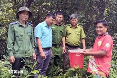 Trân Ngoc Khiêm remet un loris lent pygmée aux autorités pour le relâcher dans le milieu naturel. Photo: VNA