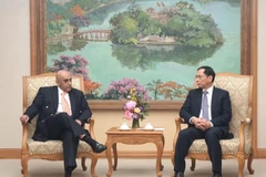 Le vice-Premier ministre et ministre des Affaires étrangères, Bui Thanh Son (droite), et le président du groupe Makara Capital, Ali Ijaz Ahmad, Photo : VNA