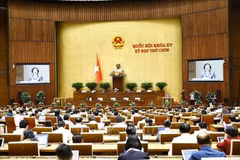  La ministre de l'Intérieur Pham Thi Thanh Tra prend la parole. Photo: VNA