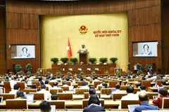  La ministre de l'Intérieur Pham Thi Thanh Tra prend la parole. Photo: VNA