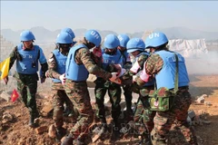 Exercice de sauvetage pour les victimes d'un effondrement d'immeuble. Photo : VNA