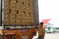 Les durians frais sont conservés dans des boîtes en carton conformes aux normes. Photo : VNA