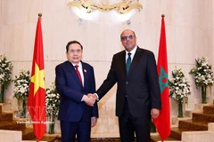 Le président de l'Assemblée nationale, Tran Thanh Man (gauche) a rencontré le président du Sénat marocain, Mohamed Ould Errachid, le matin du 25 juillet 2025. Photo : VNA