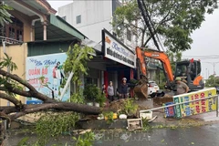Régler les conséquences de la tempête n° 10. Photo : VNA
