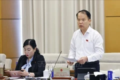 Le président de la Commission du droit et de la justice, Hoang Thanh Tung prend la parole lors de la séance. Photo : VNA