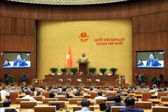 La 10ᵉ session de l'Assemblée nationale (15ᵉ législature). Photo: VNA