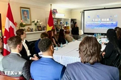 Lors du séminaire. Photo : VNA