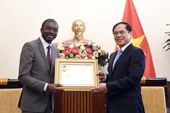 Le vice-PM et ministre des Affaires étrangères Bui Thanh Son (droite) remet à Lazare Eloundou Assomo l'Insigne "Pour la cause de la diplomatie vietnamienne". Photo: VNA