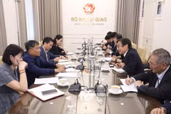 Panorama de la séance de travail. Photo : ministère des Affaires étrangères du Vietnam