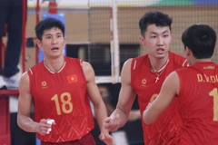 L'équipe masculine de volley-ball du Vietnam remporte la médaille d'argent lors de la deuxième étape de la SEA V.League. Photo: thethaovanhoa.vn