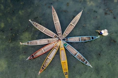 Des barques traditionnelles en bois permettent aux visiteurs d’explorer la biodiversité du lagon Ô Loan. Photo : VNA