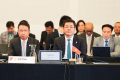 Le ministre de l'Industrie et du Commerce, Nguyên Hông Diên participe à la réunion. Photo: VNA