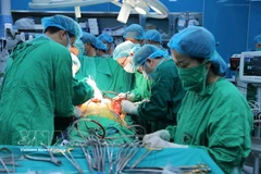 Une opération de transplantation pulmonaire à l'Hôpital national du poumon. Photo : VNA