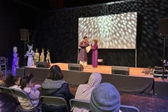 Lors du festival, l’association « Tiếng tơ đồng » a présenté des spectacles de musique traditionnelle de Huê. Photo : VNA