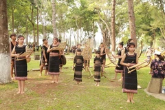 Interprétation d'instruments de musique traditionnel à Gia Lai. Photo: VNA