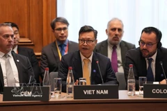L’ambassadeur du Vietnam en France, Trinh Duc Hai, s'exprime à la réunion ministérielle de l’Agence internationale de l’énergie (AIE) 2026. Photo: VNA