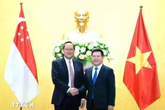 Le ministre vietnamien de l'Industrie et du Commerce, Nguyen Hong Dien s'entretient avec le ministre singapourien de l'Industrie et du Commerce, Tan See Leng, sur l'élargissement de la coopération économique, commerciale et énergétique en mars 2024. (Photo : Tran Viet/VNA)