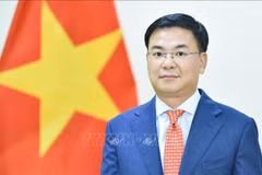 L’ambassadeur du Vietnam au Japon, Pham Quang Hieu. Photo : VNA