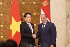 Le président vietnamien Luong Cuong (à gauche) et son homologue égyptien Abdel Fattah El-Sisi. Photo : VNA