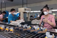 La Société de textile et de teinture Ha Tây enregistre de nombreuses commandes à destination des marchés américain et européen. Photo : VNA. 
