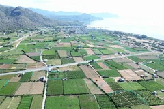 Le projet de centrale nucléaire de Ninh Thuân 2 devrait être construit dans le hameau de Thai An, commune de Vinh Hai, district de Ninh Hai. Photo : VNA