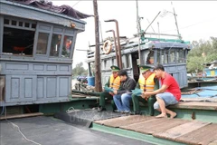 Des garde-frontières de Thuan An sensibilisent les pêcheurs locaux aux dispositions relatives à la prévention et à la lutte contre la pêche illicite, non déclarée et non réglementée (INN). Photo: VNA