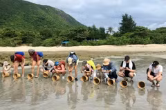 Des touristes étrangers participent avec enthousiasme à une excursion de remise à la mer de bébés tortues à Côn Dao, à Hô Chi Minh-Ville. Photo : sggp.org.jpg